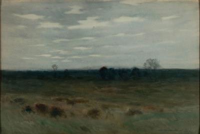 Connecticut Woodland