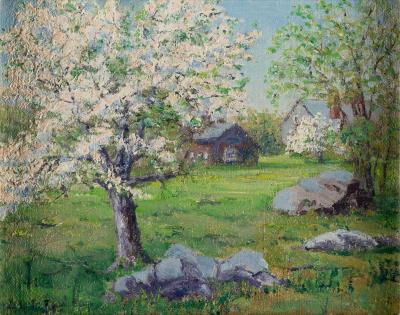 Tree in Bloom