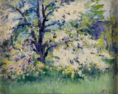 Blooming tree in a summer landscape