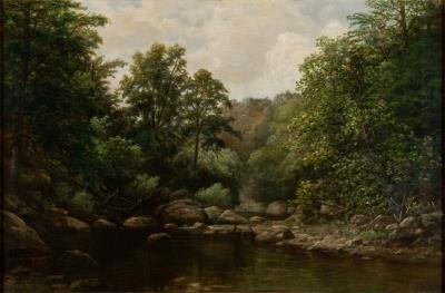 Forest landscape