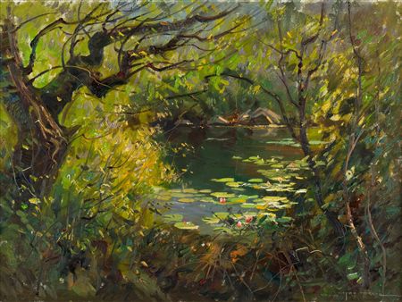 Forest pond scene