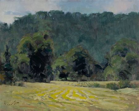 Hayfield