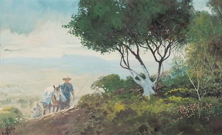 Man with mules hiking up a mountainous trail