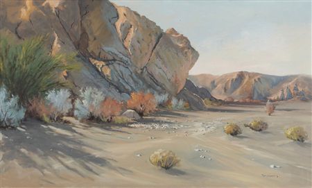 Desert landscape