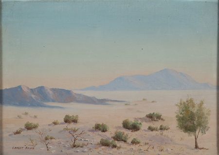 Desert landscape