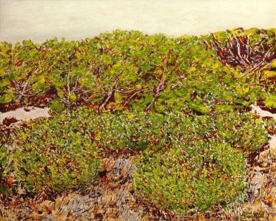 Mediterranean, landscape