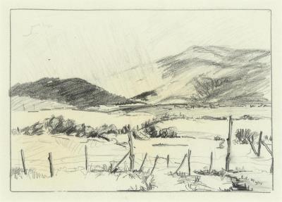 Distant Rain