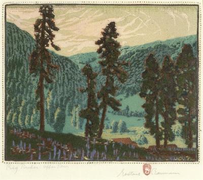 Big Timber Upper Pecos, 1924