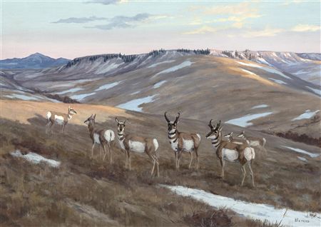 Untitled (Antelope at Sunrise)