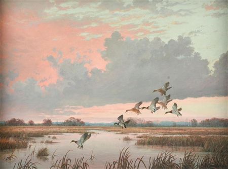 Ducks Alighting on a Marsh (Untitled)