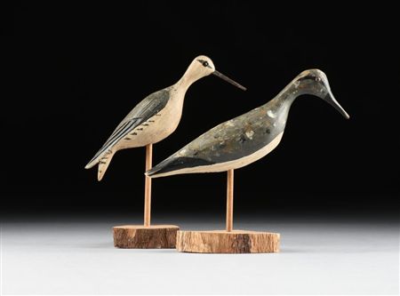 Two Shorebirds