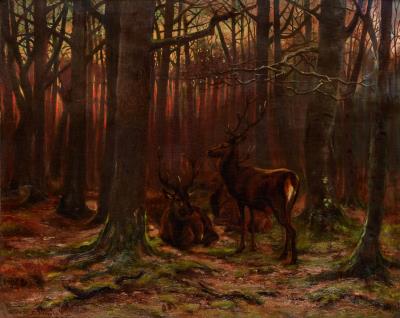 Cerfs en Forêt, Crepuscule