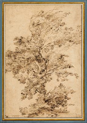 Study of a Tree
