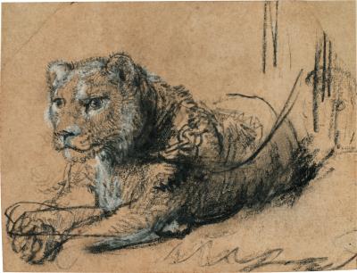 Master Works On Paper From Five Centuries