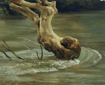 A Tree Trunk caught in the Waters at Tivoli
