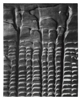 Eroded Plank from Barley Sifter