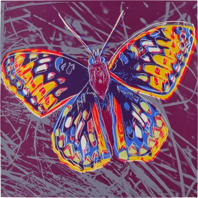 San Francisco Silverspot