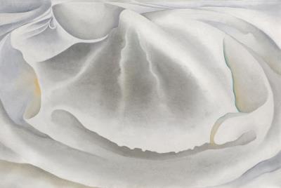 Inside Clam Shell