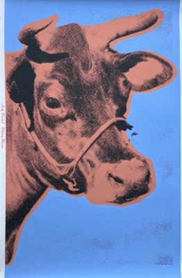 Cow (F. & S. II.11A)
