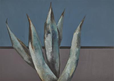 Untitled (Agave)