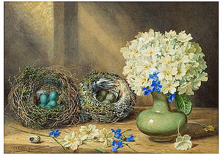 Still life with bird nests and hortensias by Thomas Frederick Collier - Auction record, sale price, and art valuation. Compare with similar artists and explore comparable artworks.