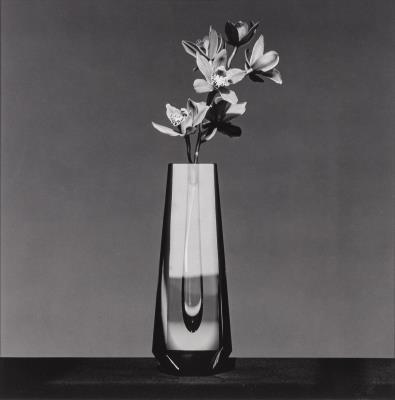 Orchid