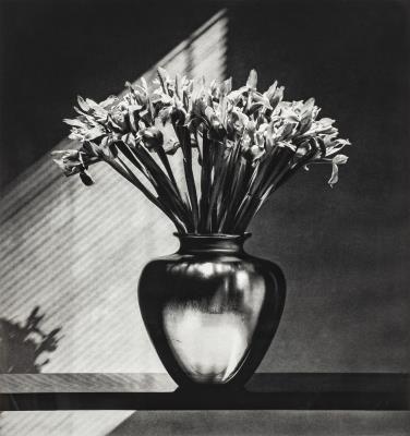 Irises