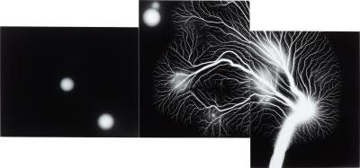 Lighting Fields Composed 24.00g
