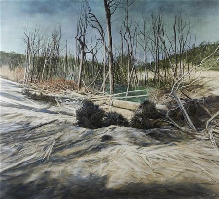Creeping Shadows, Felled Trees, Savage River Tailing Ponds