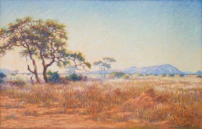 Okaweyo (Karibib)