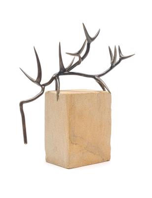 Thorn