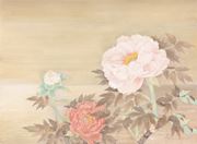 Peony
