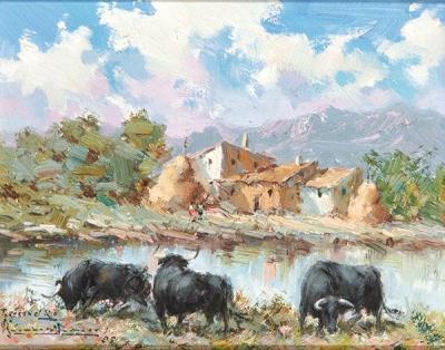Bulls in the River
