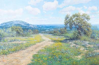 Texas wildflowers landscape painting by Robert Harrison - Auction record, sale price, and art valuation. Compare with similar artists and explore comparable artworks.
