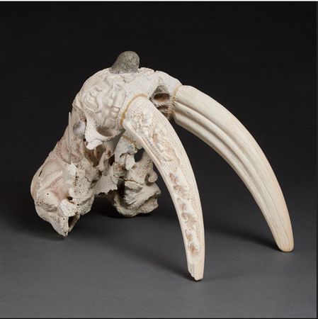 WALRUS SKULL (2002) by Luke Airut - Auction record, sale price, and art valuation. Compare with similar artists and explore comparable artworks.