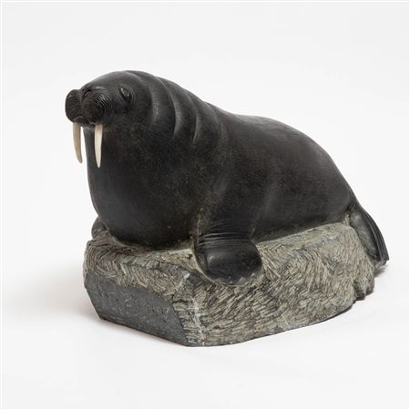 Basking Walrus