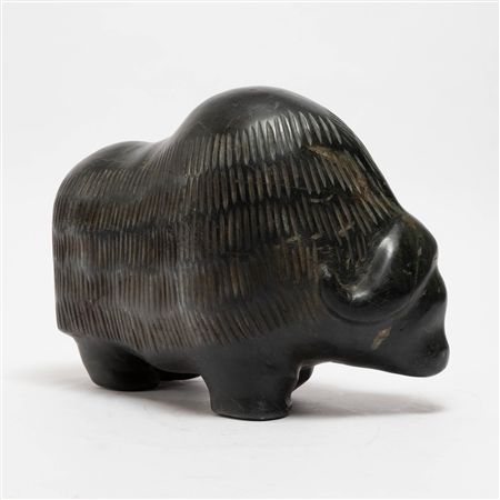 Musk Ox