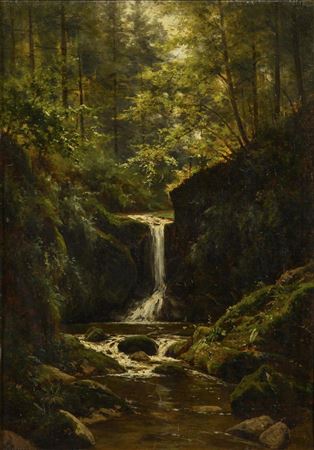 Forest landscape with stream