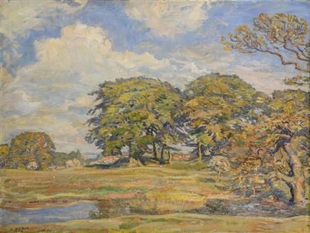 Sunny landscape