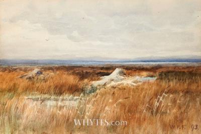 WEST OF IRELAND LANDSCAPE, 1893
