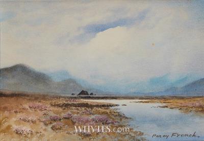 Bog Landscape, West of Ireland