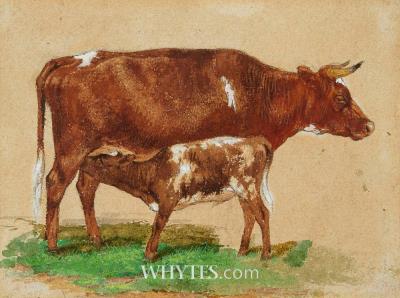 FEEDING CALF