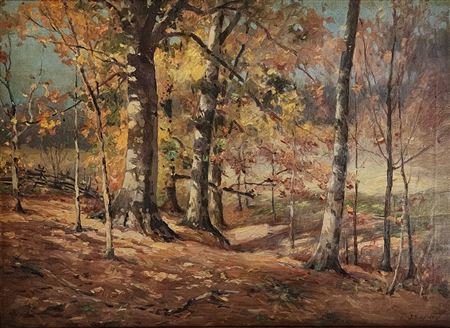 Autumn Interior Woods