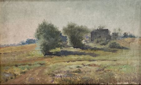 Summer Landscape