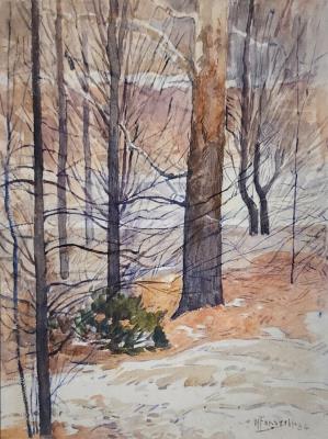 Winter Trees