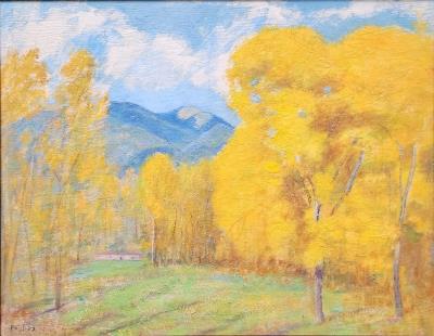 Cottonwoods