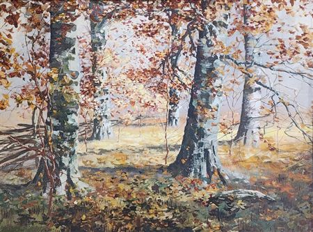 Autumn Wooded Landscape