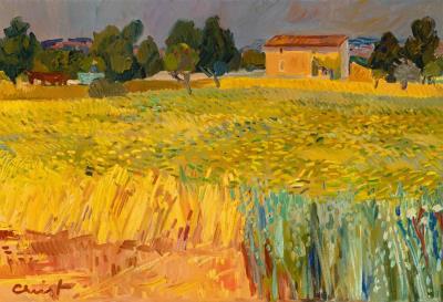 Southern Field Landscape