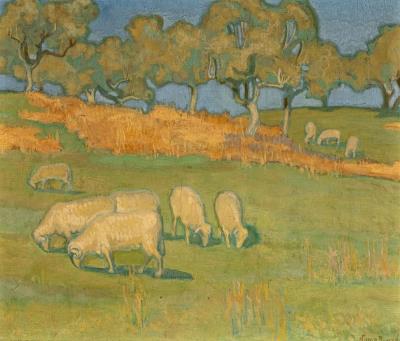 Grazing sheep