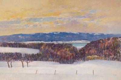 Snowy Landscape